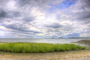 Calf Pasture Beach - Grass and Ocean